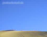 Strand und blauer Himmel in Daenemark